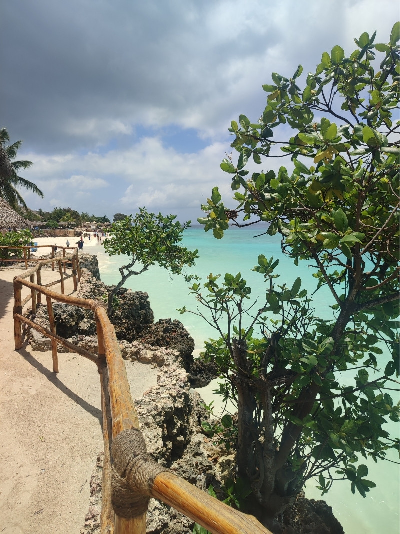 Playas de Zanzíbar - Nungwi
